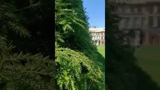50 Things to do in Long Island - 1/50 - Old Westbury Gardens #longisland #westbury #ניויורק