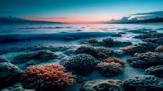 Relaxation Music For Sleep That Creates a Magical Refuge for Your Mind