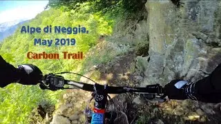 Carbon Trail  |  Alpe di Neggia  |  Ticino, Switzerland  |  June, 2019