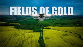 DJI MIni 3 Pro and Flywoo Explorer LR4 - FIELDS OF GOLD