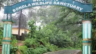 Bondla zoo goa #bondlazoo #goa #goawildlife #wildlifesanctury 