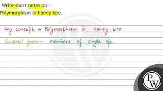 Write short notes on : Mouth parts of honey bee.