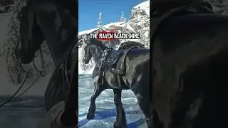 You Shouldn't Get a Brave Horse in RDR2 #rdr2 #reddeadredemption