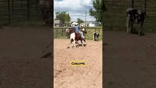 Chrome-starting a head horse.