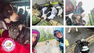 Muddy paws and big Hearts ❤️ #mud #rain #me #workout #fitness #walkthrough #mum #daughter #business