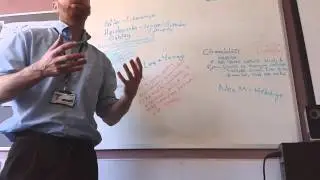 Sociology Crime and Deviance - Right Realist views Essay Advice