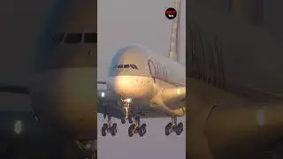 Qatar Airways Landing Closeup | FLY SKY