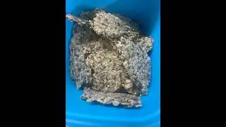 Six seeds yummy cracker #airfryerrecipes #helathyrecipe