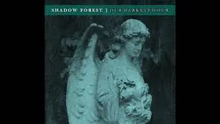 Shadow Forest - 