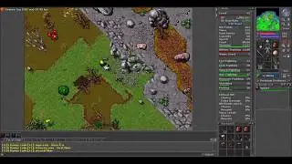 Tibia - Rookgaard - Deleting Sword of Fury