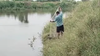 Jala mancing ikan belanak  kali Meer surabaya