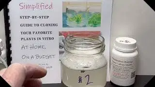 philodendon tissue culture step by step