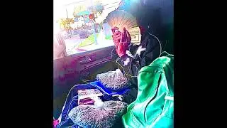 Hbk Jachi x Atm Danny x Tapri Grams Type Beat 