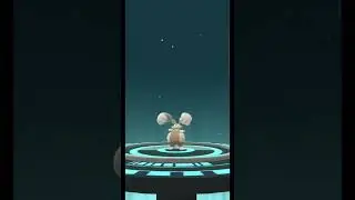 Shiny Bunnelby evolves into.. #diggersby #bunnelby #shiny #pokemongo #pokemon #shorts #bunny #rabbit