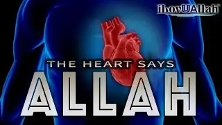 The Heart Says Allah | *Miracle Of Allah*