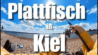 Angeln in Kiel 🎣 | F&ouml;rde & Hafen &ndash; Plattfisch, Dorsch & Hering (nur einer wollte!) 😅