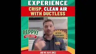 Experience Great Indoor Air Quality with a Ductless Mini Split in Boise - Peppy Heating and Cooling