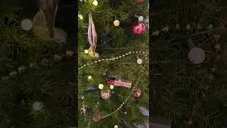 Tell me you're from Texas, without telling me #christmas #HEB #bucees #texas #tree #sanantonio