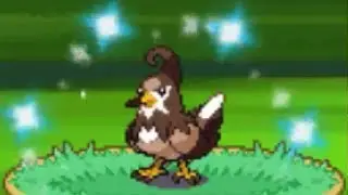 LIVE! Shiny Staravia after 3,035 REs in Platinum! (Phase 3)