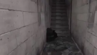 Basement guide