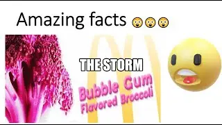 Amazing facts | THE STORM | STORMSQUAD