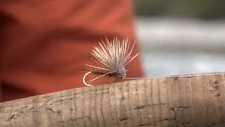 Fly Fishing British Columbia's Wigwam River in Mid September  [Episode # 67]