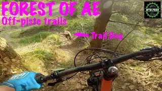 Forest of Ae - Off piste trails with my trail dog 🐕