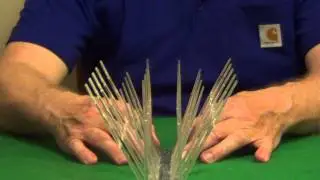 Plastic Bird Spikes - Bird Control