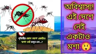 👉মশার ভয় একেবারে শূন্য! এ কোন দেশ জানেন? 🤔 #MosquitoFree #amazingfacts  #ViralVideo #BanglaFacts