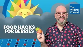 Berry Hacks - The Weather Channel