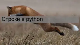 Что за ошибка err empty response? и как ее исправить