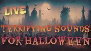 🔴 LIVE - Terrifying Halloween Sounds | For Haunted Houses, Yards and Halloween Parties