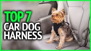 Top 7 Best Dog Harness for Car in 2023