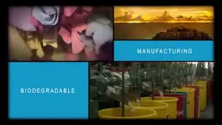 Corporate Website Video