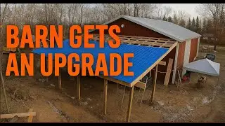 Building a Lean-To in 5 Minutes | Epic Barn Upgrade Timelapse