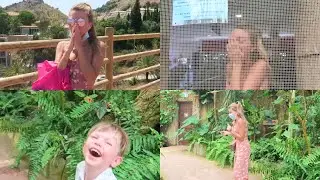 Facing Fears At The Butterfly Park! Marbella Vlog 2020