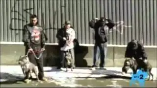 DMX Feat Andreena Mill - Cold World