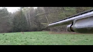 CRAZY Turkey HUNT! Big Tom and One LESS Coyote