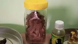 nature truth