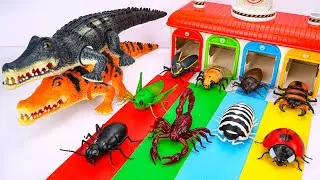[🐞Toy Asmr🐞] Remote Control Animals : Crocodile - Ladybug - Ant - Firefly | Satisfying Unboxing ASMR