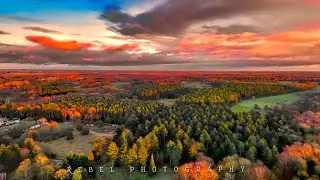 Exploring Lynford Forest (DJI mini 4 Pro 