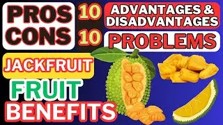 JACKFRUIT ADVANTAGES AND DISADVANTAGES | BENEFITS OF JACKFRUIT FRUIT | CLOSE BOOK