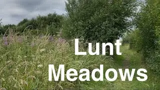 Relaxing nature walk around Lunt meadows. ASMR. No talking.
