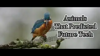 Animals That Have Inspired Technology
