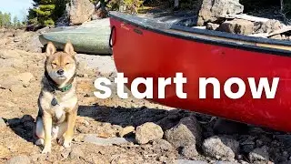 why your SHIBA INU needs adventures