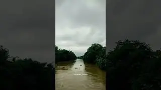 Nature ! #youtubeshorts #india #assamflood #flood #assam