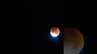 Red Moon 🌙 | Blood Moon 2025 | Lunar Eclipse Phenomenon #BloodMoon #MoonEclipse #AstronomyLovers