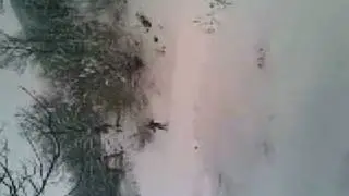 Lenti