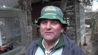 (PART 2-3) MISTRZ POLSKI ZA 750 zl , DZEKI RASIE KULBACKI VERBART, PL-059 , WELCOME www.KULBACKI.de