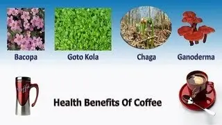 Sisel Kaffe Business Opportunity - SISEL International 5